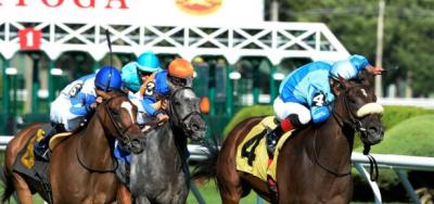 $100,000 P.G. Johnson Draws Seven Turf Fillies