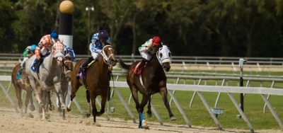 $100,000 Pelican Stakes Draws Field of Eleven Sprinters