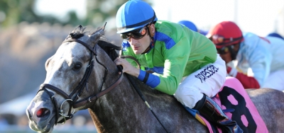 $300,000 Jaipur Invitational Draws Competitive Field of Thirteen