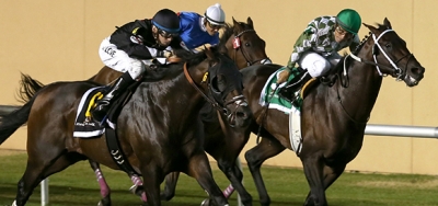 $50,000 Buddy Diliberto Memorial Draws Field of Nine