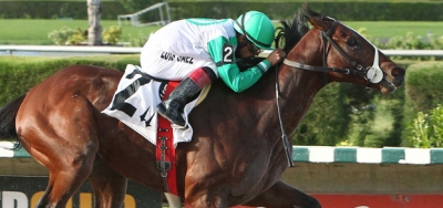 $75,000 Tropical Park Derby Draws Full Field of Twelve