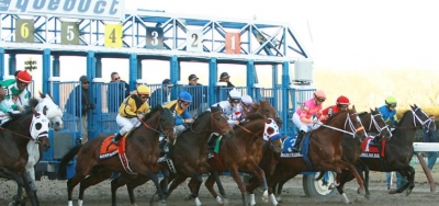 Alto Belle Seeks to Hit a High Note in $100,000 Busanda Stakes