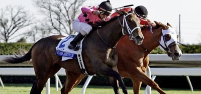Classy Vets Battle in Grade 3 Vigil