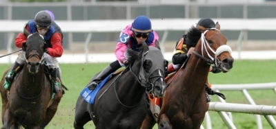 Competitive Tilt Shapes Up in Grade 3 Robert Dick