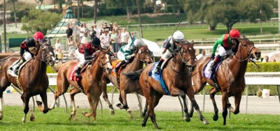 Curvy (GB) Faces Strong Field of Eleven Rivals in $500,000 E.P. Taylor Stakes