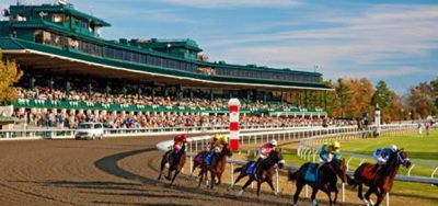 Deep and Talented Field Set for Grade 1 Spinster