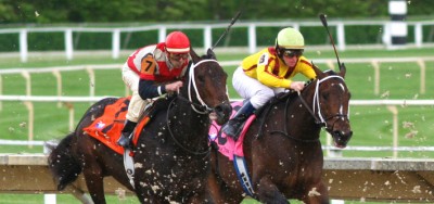 Fiftyshadesofgold Looks Formidable in Grade 3 Dogwood