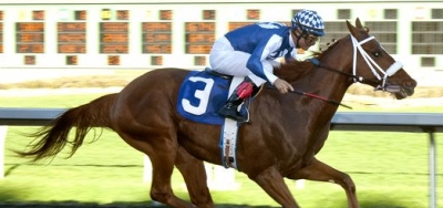 Frank Conversation Looks for Breakthrough Win in $200,000 El Camino Real Derby