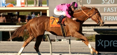 Go West Marie Headlines Field for $125,000 Fran's Valentine Stakes