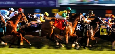 Harmonize Trying to Hit the Right Notes in $1 Million Breeders' Cup Juvenile Fillies Turf