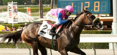 Home Journey Headlines Strong Field for $80,000 Daisycutter Stakes