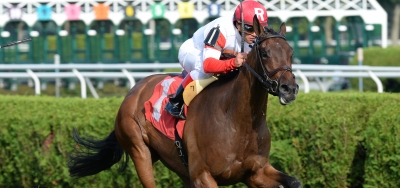 Kitty Wine Tops Field for $60,000 Cooper City Handicap