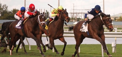 Luck of the Kitten Tops Field for $100,000 Transylvania Stakes