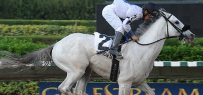 Mr. Jordan Tops Field for $150,000 Pegasus Stakes