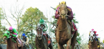 Mr.Z and Divining Rod to Rematch in Indiana Derby