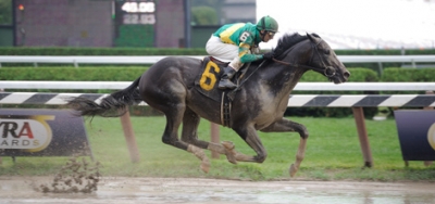 Protonico and Honor Code Square Off in $400,000 Alysheba Stakes