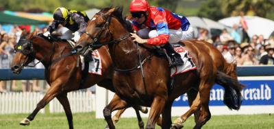 Smart N Fancy the Monday Feature at Saratoga