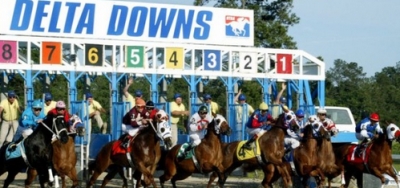 Steel Cut Returns to Louisiana for $75,000 Gold Coast Stakes