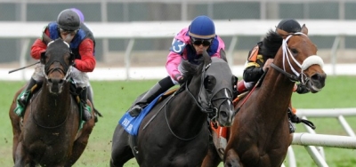 Three Year-Old Turfers Battle in Toronto Cup Stakes