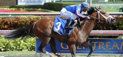 Todd Pletcher Duo Top Field for $100,000 Curlin Stakes