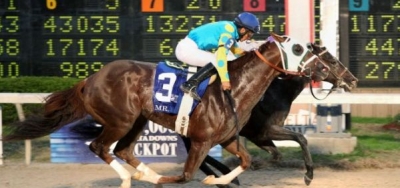 Tom Amoss has a Loaded Pair in $75,000 Big Drama Stakes