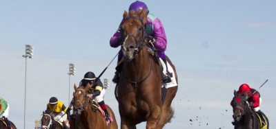 Undefeated Amiz Gizmo Going for Third Win in $125,000 Frost King Stakes