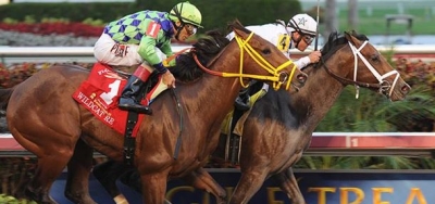 X Y Jet Heavily Favored in $150,000 Sunshine Millions Sprint